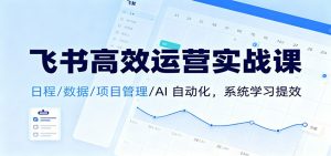 飞书高效运营实战课:日程/数据/项目管理/AI 自动化,系统学习提效-聊项目