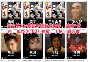 抖音某大V最新影视解说教学，基础+进阶，单条过100万播放，手把手教你做-聊项目
