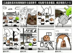 卤蛋哈基米短视频制作全流程教学，条条爆款，疯狂吸粉几十万-聊项目