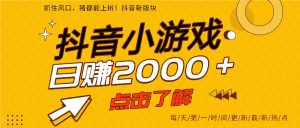 5年爆火的抖音小游戏项目，一部手机日入2000+-聊项目