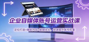 企业自媒体账号运营实战课：定位打造+ 爆款内容+数据优化，快速提升账号权重-聊项目