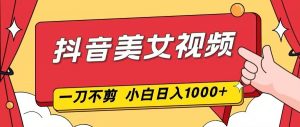抖音美女视频,一刀不剪,两分钟一条视频,小白轻松上手,日入1000-聊项目