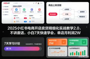 2025小红书电商开店卖货精细化实战教学2.0,不讲废话,小白7天快速学会,单店月利润2W-聊项目