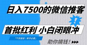 日入7500的微信推客,首批红利,自用省钱、分享赚钱,0门槛小白闭眼冲!-聊项目