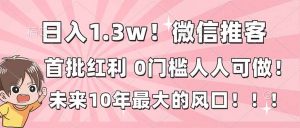 日入1.3w！微信推客，首批红利，未来10年最大的风口，0门槛，人人可做！-聊项目