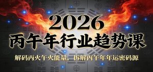 公众号付费文章:2026丙午年行业趋势课:解码丙火午火能量,拆解丙午年年运密码源-聊项目