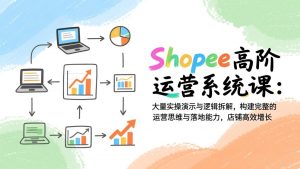 Shopee高阶运营系统课：大量实操演示与逻辑拆解，构建完整的运营思维与落地能力，店铺高效增长-聊项目