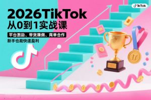 2026TikTok从0到1实战课，平台激励、带货賺佣、商单合作，新手也能快速盈利(3天直播课)-聊项目