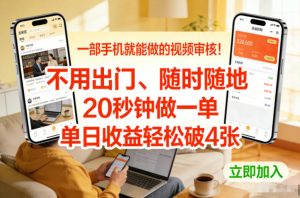 一部手机就能做的视频审核！不用出门，随时随地，20秒钟做一单，单日收益轻松破4张【揭秘】-聊项目